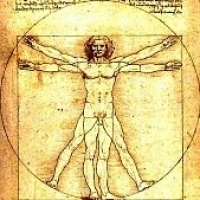Modulor figura- Leonardo rakta le az alapokat